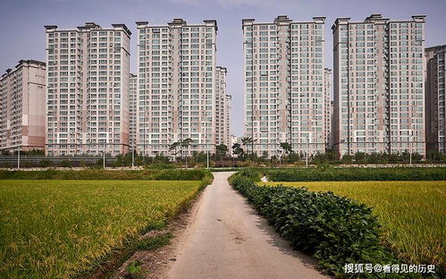 從“莊稼”到城市 韓國(guó)漢城房地產(chǎn)開(kāi)發(fā)的狂飆與反思