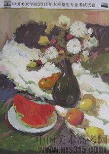 2010年中國美術(shù)學(xué)院設(shè)計類建筑色彩優(yōu)秀試卷評析（試卷13）